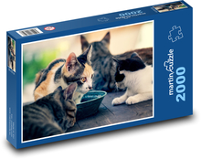 Katzen Puzzle 2000 Teile - 90 x 60 cm