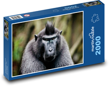 Opice Puzzle 2000 dílků - 90 x 60 cm