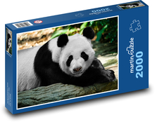 Panda velká Puzzle 2000 dílků - 90 x 60 cm