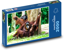 Orang-Utan Puzzle 2000 pieces - 90 x 60 cm