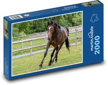 Kôň Puzzle 2000 dielikov - 90 x 60 cm