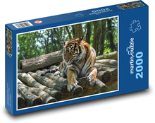 Tiger im Wald Puzzle 2000 Teile - 90 x 60 cm