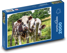 Cows Puzzle 2000 pieces - 90 x 60 cm