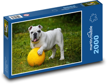 Dog, bulldog Puzzle 2000 pieces - 90 x 60 cm