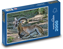 Muflón Puzzle 2000 dielikov - 90 x 60 cm