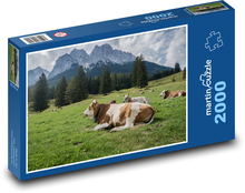 Alps, meadow, animals Puzzle 2000 pieces - 90 x 60 cm