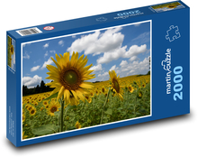 Słonecznik Puzzle 2000 elementów - 90x60 cm