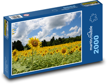 Field of sunflowers Puzzle 2000 pieces - 90 x 60 cm