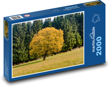 Drzewo w jesiennych kolorach Puzzle 2000 elementów - 90x60 cm