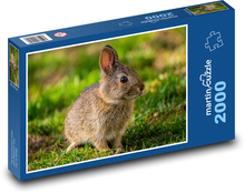 Little bunny Puzzle 2000 pieces - 90 x 60 cm