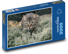 Kot domowy Puzzle 2000 elementów - 90x60 cm