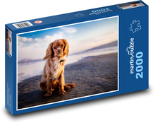 Pies, plaża Puzzle 2000 elementów - 90x60 cm