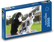 Border kólia Puzzle 2000 dielikov - 90 x 60 cm