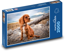 Dog, puppy Puzzle 2000 pieces - 90 x 60 cm
