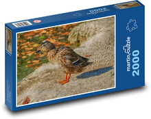 kačica divá Puzzle 2000 dielikov - 90 x 60 cm