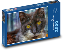 Zviera - mačka Puzzle 2000 dielikov - 90 x 60 cm