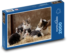 Junge Katzen Puzzle 2000 Teile - 90 x 60 cm