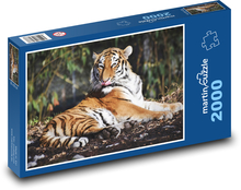Tiger, šelma Puzzle 2000 dielikov - 90 x 60 cm