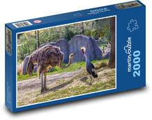 Zoo - pštros Puzzle 2000 dílků - 90 x 60 cm