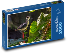 Natura, ptak Puzzle 2000 elementów - 90x60 cm