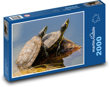 Schildkröten im Wasser Puzzle 2000 Teile - 90 x 60 cm