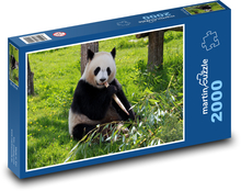 Panda velká Puzzle 2000 dílků - 90 x 60 cm