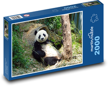 Miś panda Puzzle 2000 elementów - 90x60 cm