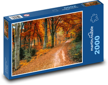 Cesta, podzim, příroda Puzzle 2000 dílků - 90 x 60 cm