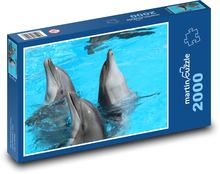 Delfíni v bazénu Puzzle 2000 dílků - 90 x 60 cm