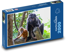 Zvířata - opice Puzzle 2000 dílků - 90 x 60 cm