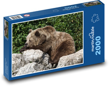 Medvěd hnědý Puzzle 2000 dílků - 90 x 60 cm
