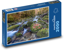Potok v lese Puzzle 2000 - 90x60 cm