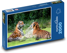 Tygr - zvíře, voda Puzzle 2000 dílků - 90 x 60 cm