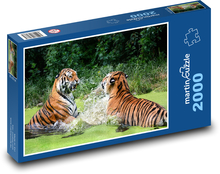 Tigers in the water Puzzle 2000 pieces - 90 x 60 cm