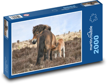 Poník s dieťaťom Puzzle 2000 dielikov - 90 x 60 cm
