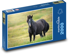 Horse - Icelandic mare Puzzle 2000 pieces - 90 x 60 cm