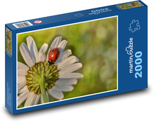 Stokrotka - kwiatek, biedronka Puzzle 2000 elementów - 90x60 cm