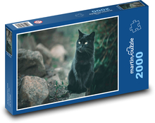 Mačka domáca, čierna Puzzle 2000 dielikov - 90 x 60 cm