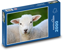 Lamm - Tier, Bauernhof Puzzle 2000 Teile - 90 x 60 cm