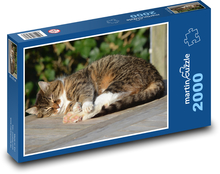 Kočka - zvíře, spánek Puzzle 2000 dílků - 90 x 60 cm