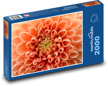 Dalia - kwiat pomarańczy Puzzle 2000 elementów - 90x60 cm
