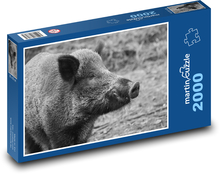 Diviak - prasa, les Puzzle 2000 dielikov - 90 x 60 cm
