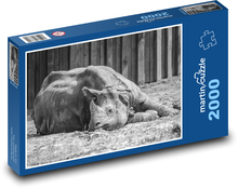 Nosorožec - zviera, roh Puzzle 2000 dielikov - 90 x 60 cm