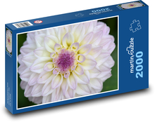 Bílá jiřina Puzzle 2000 dílků - 90 x 60 cm