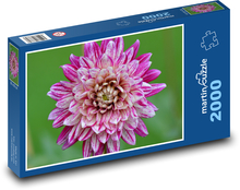 Dahlie - Blume, lila Puzzle 2000 Teile - 90 x 60 cm