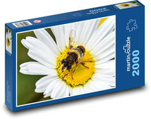 Pszczoła na kwiatku Puzzle 2000 elementów - 90x60 cm