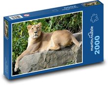 Löwinnen auf dem Felsen Puzzle 2000 Teile - 90 x 60 cm