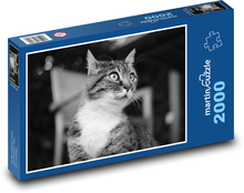 Katze - Tier, Kätzchen Puzzle 2000 Teile - 90 x 60 cm
