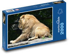 Lev - kočka, savec Puzzle 2000 dílků - 90 x 60 cm