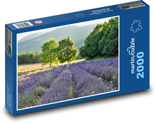 Levandulová pole - levandule, příroda Puzzle 2000 dílků - 90 x 60 cm